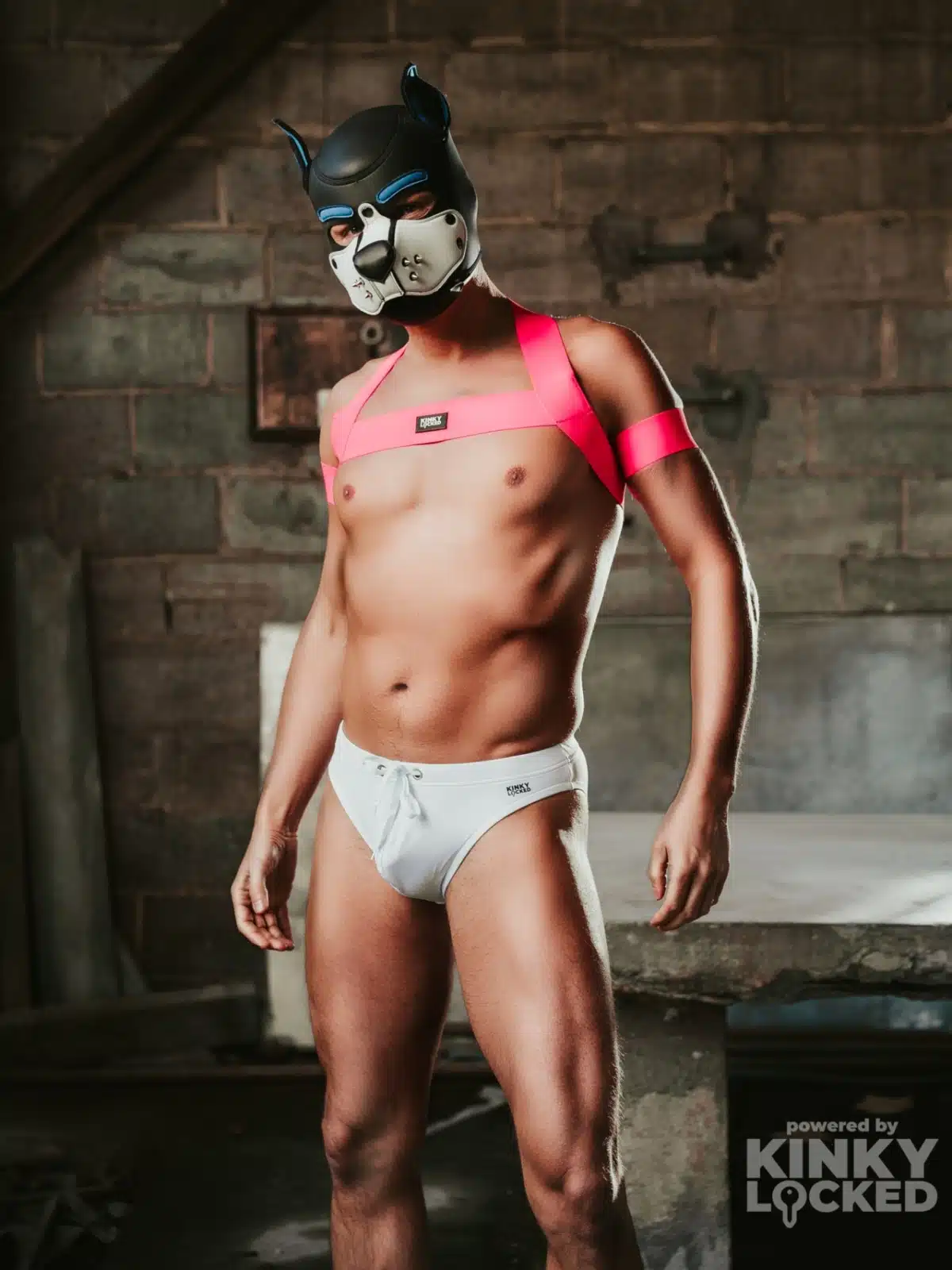 Gay Speedo 19 kinky harness 1 z 3 scaled e1728837806453 KINKY LOCKED - FETISH GEAR FOR EVERYONE